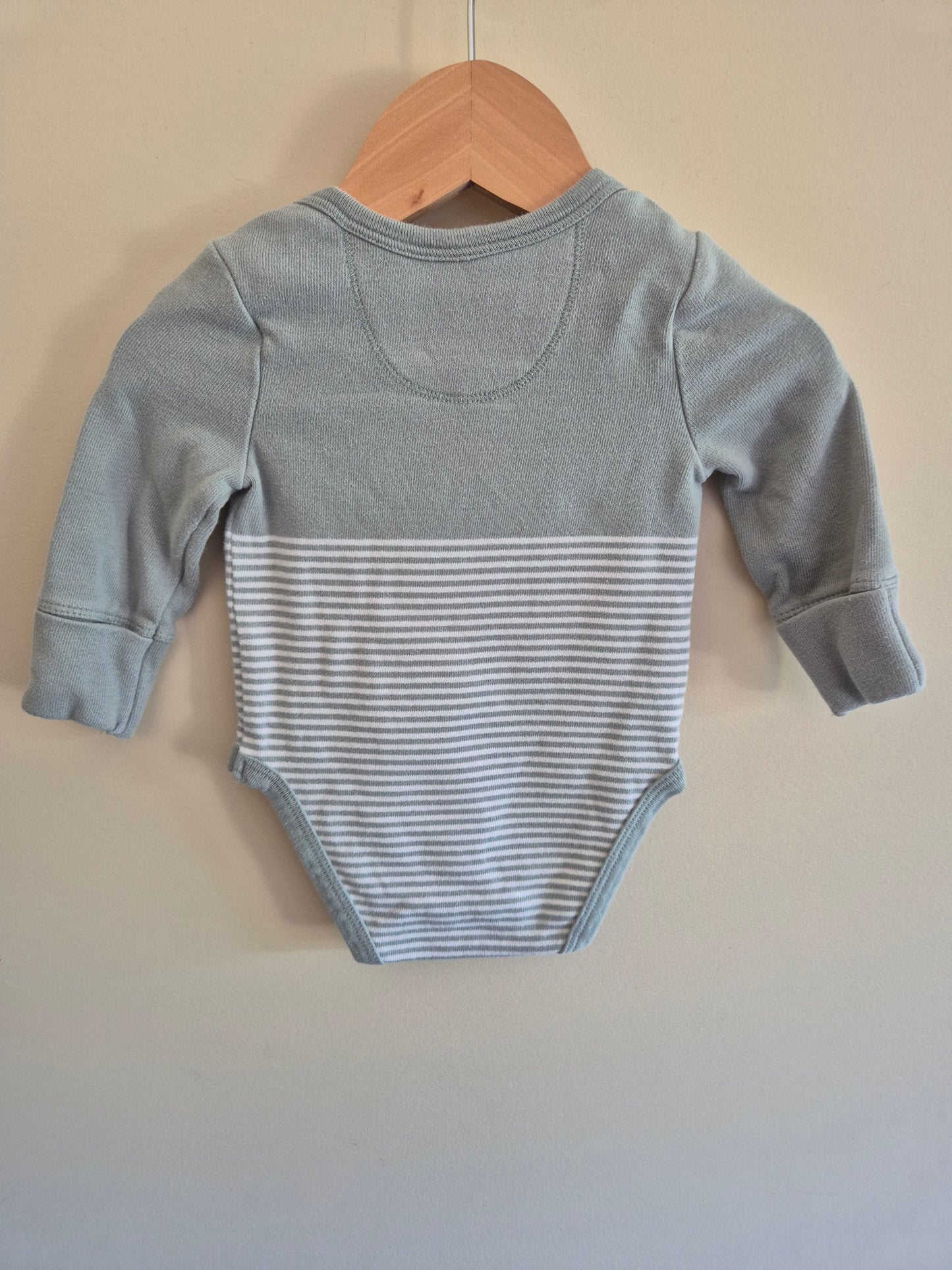 Country Road Sage Bodysuit Size 000