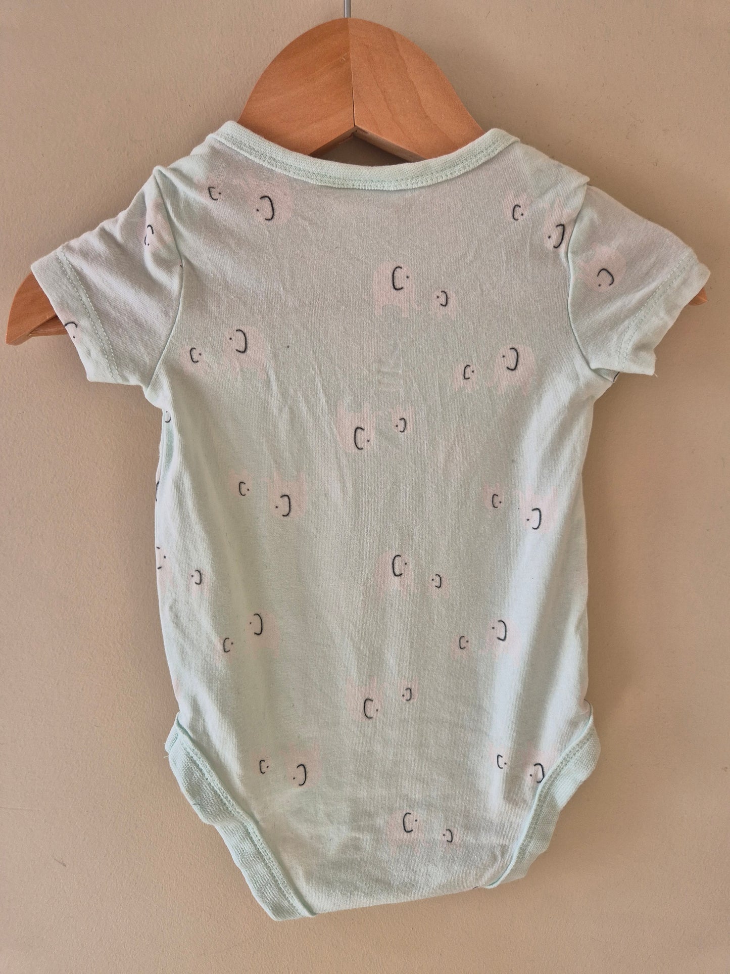 Baby Berry Organic Cotton Bodysuit Size 000