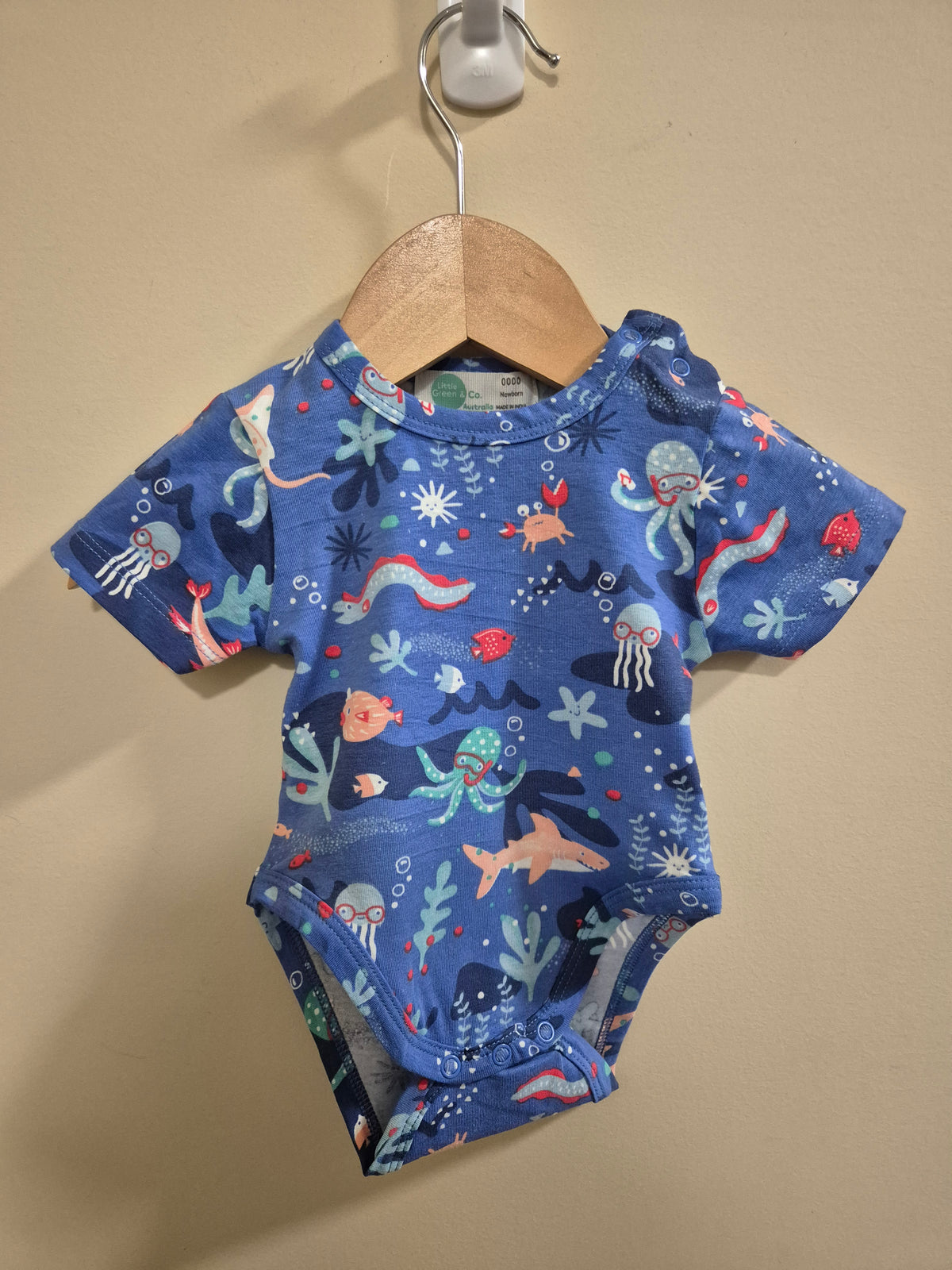 Little Green & Co Bodysuit Size 0000