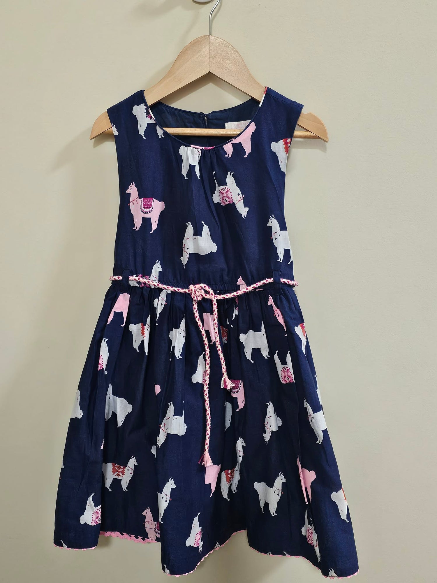Pumpkin Patch Dress Size 5