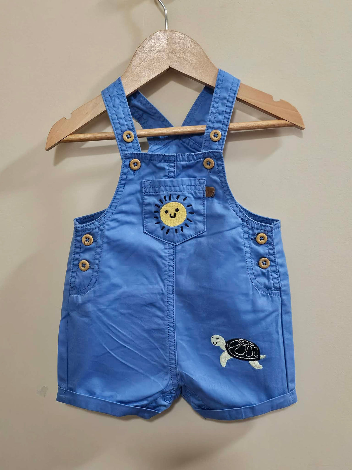 Sprout Blue Turtle Overalls Size 000