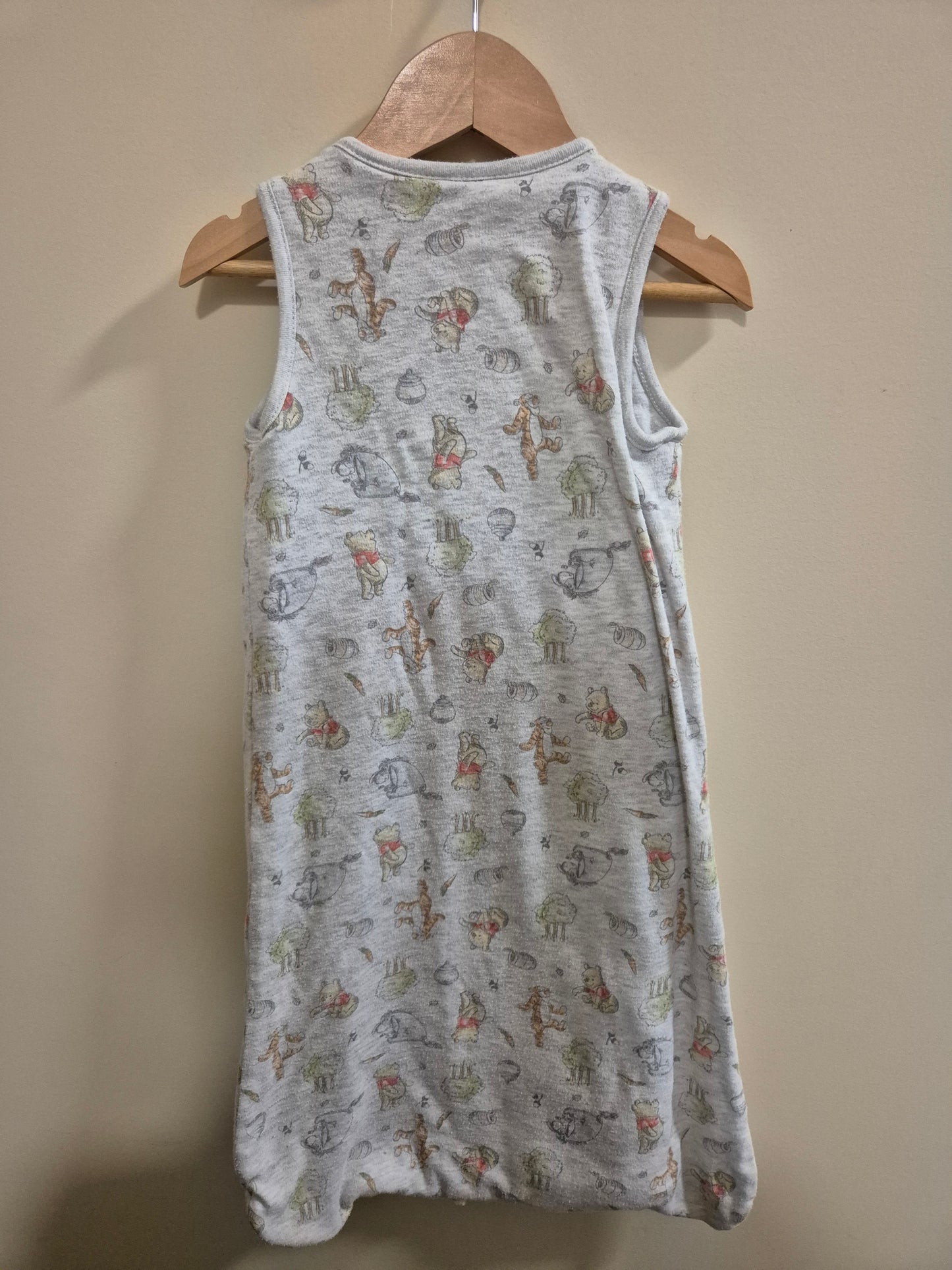 Winnie The Pooh Sleeping Bag Size 00