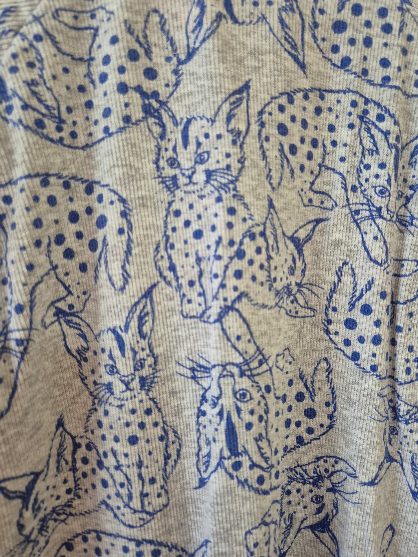 BONDS Bob Cats - Size 2