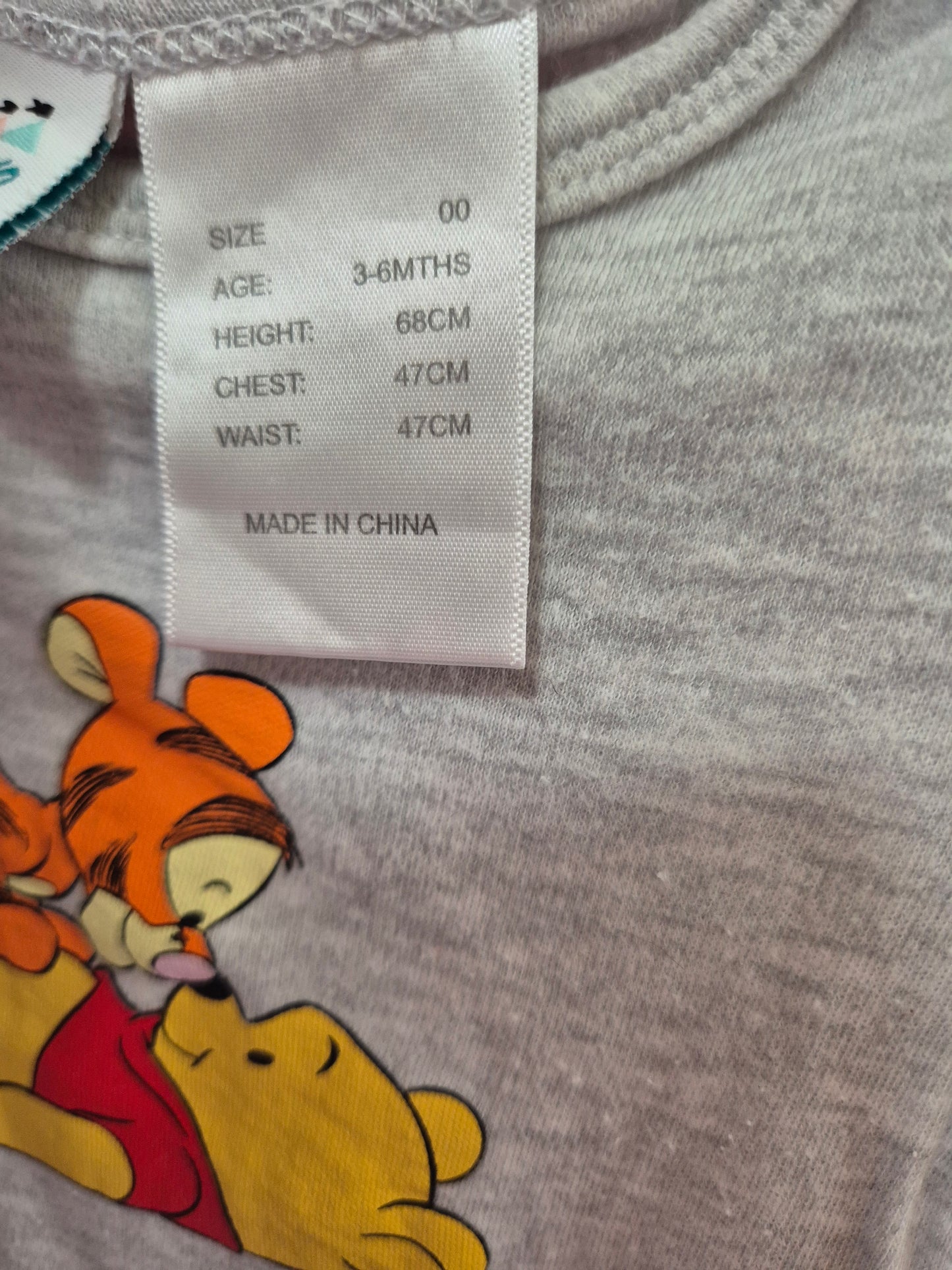 Winnie & Tigger Bodysuit 🐻🐯 - Size 00