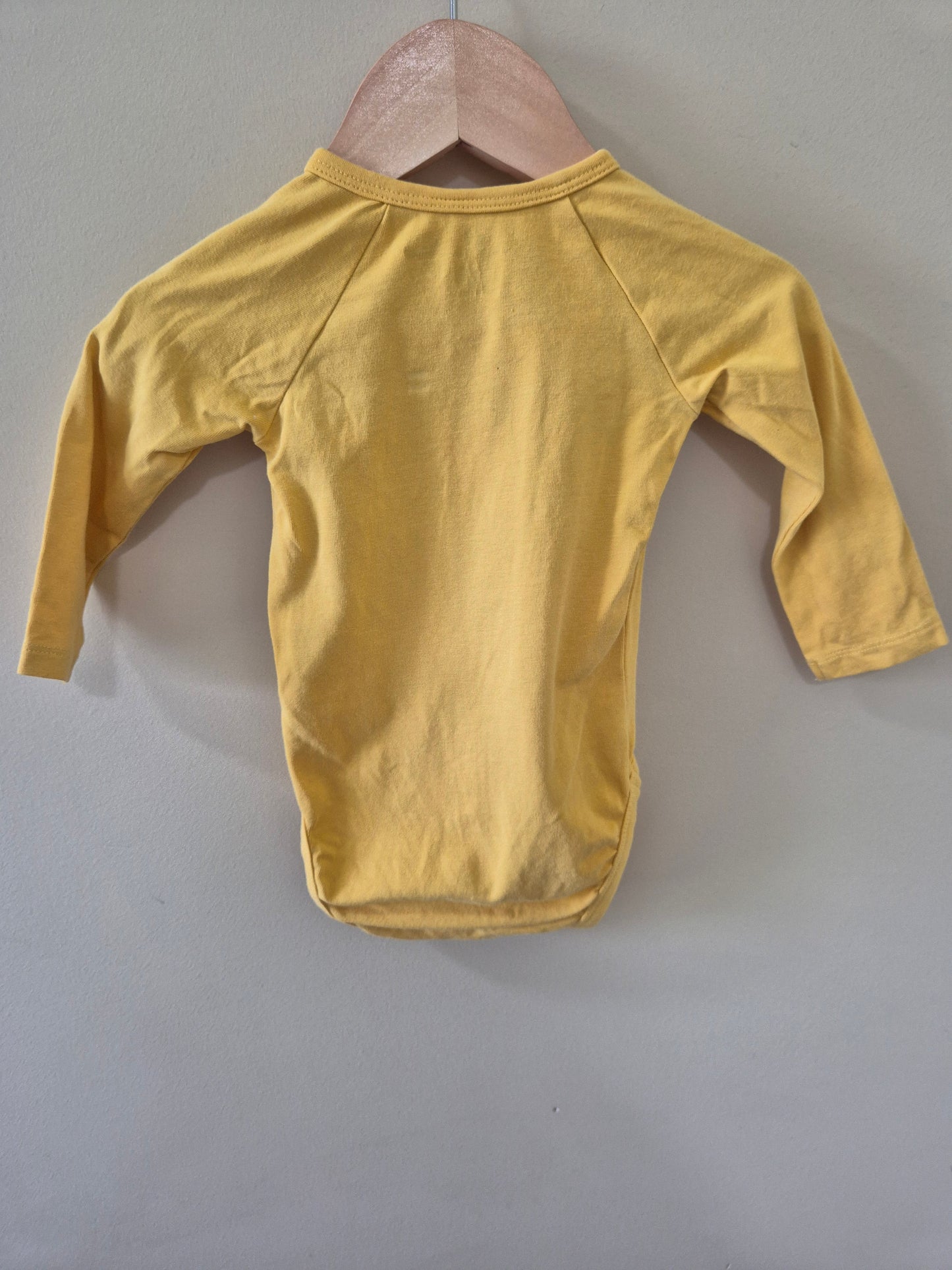 Winnie the Pooh Longsleeve Bodysuit - 000