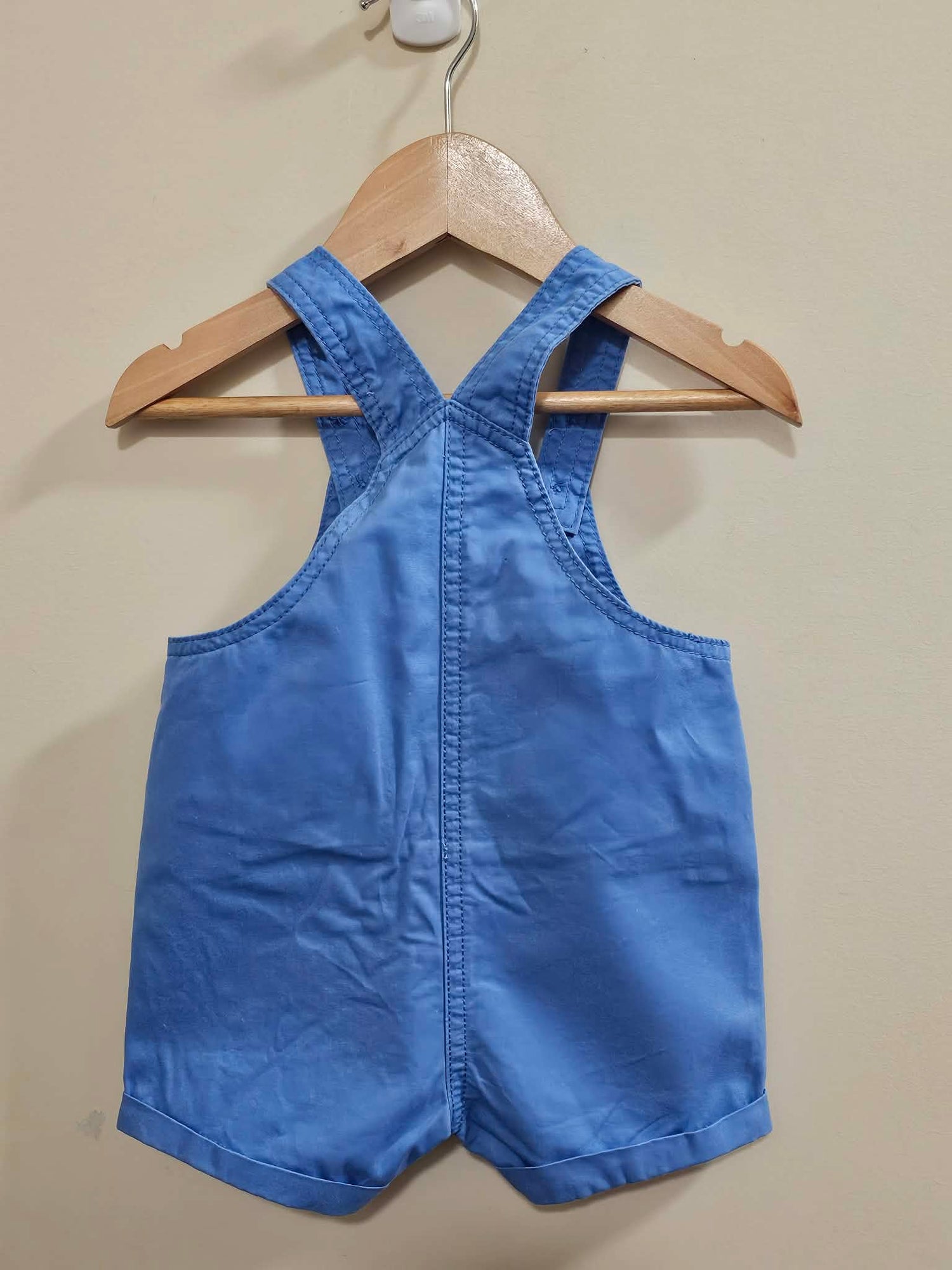 Sprout Blue Turtle Overalls Size 000