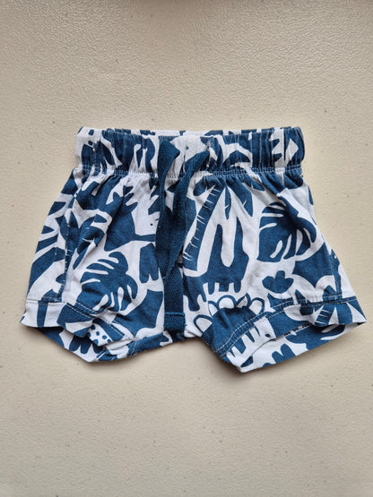 Newborn Baby Berrt Dino Shorts