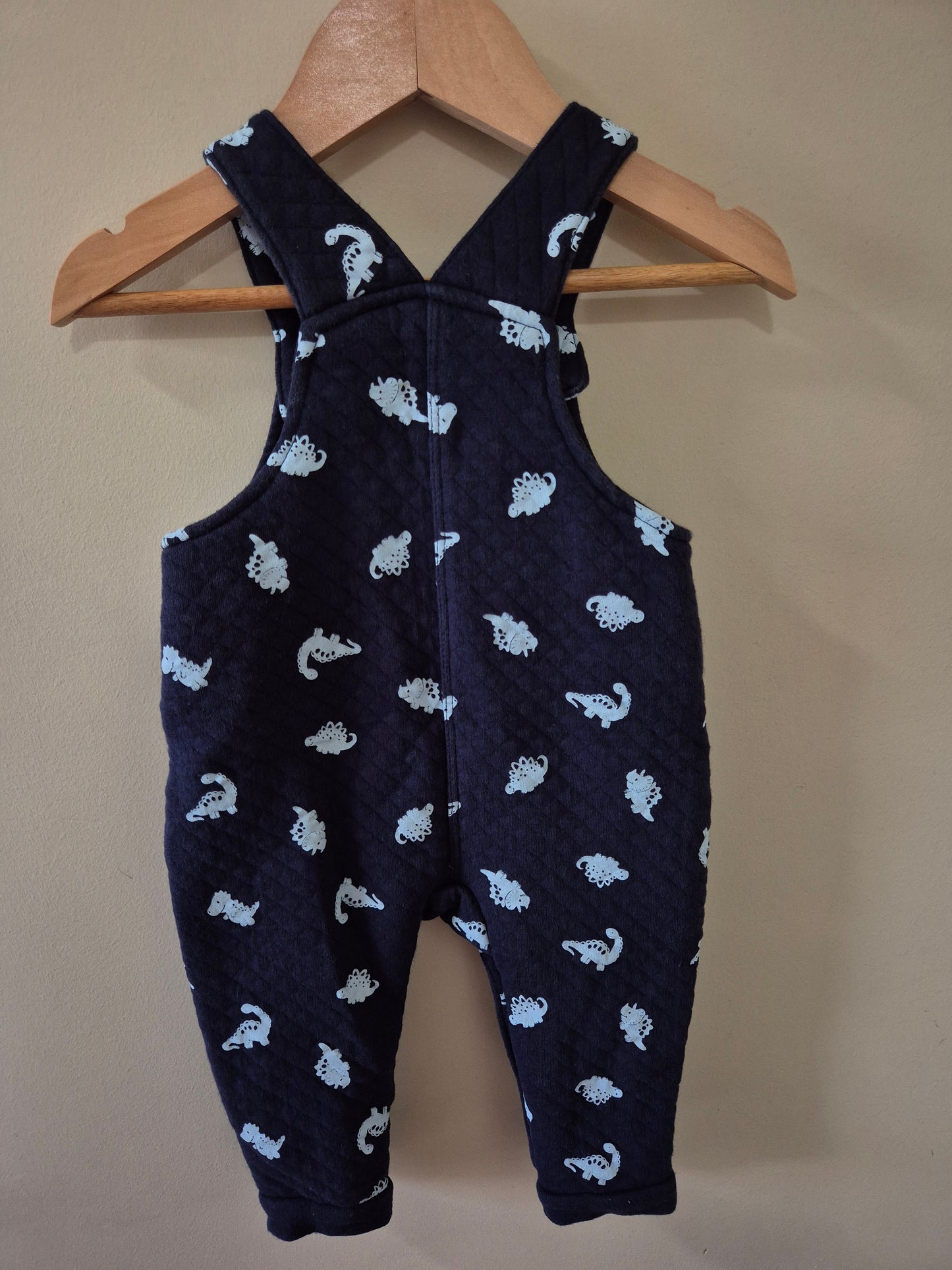 Sprout Dinosaur Overalls Size 00