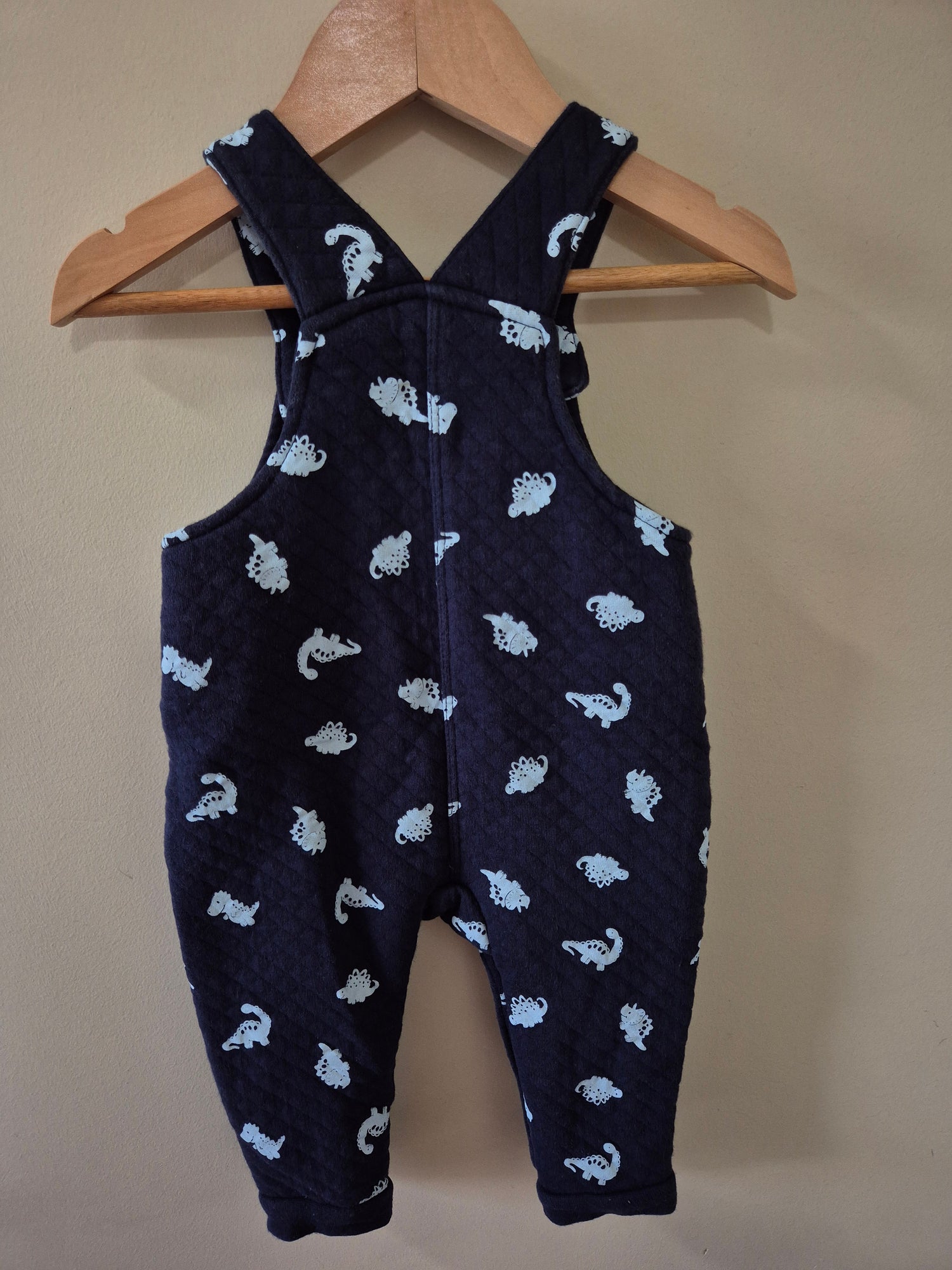 Sprout Dinosaur Overalls Size 00