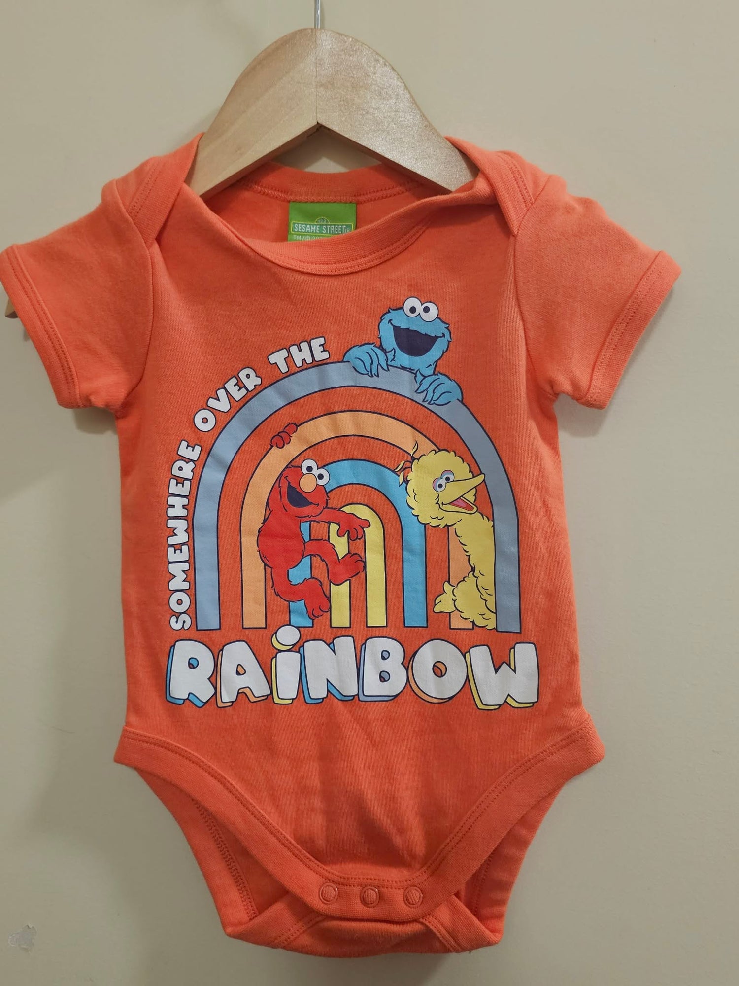 Sesame Street Bodysuit Size 00