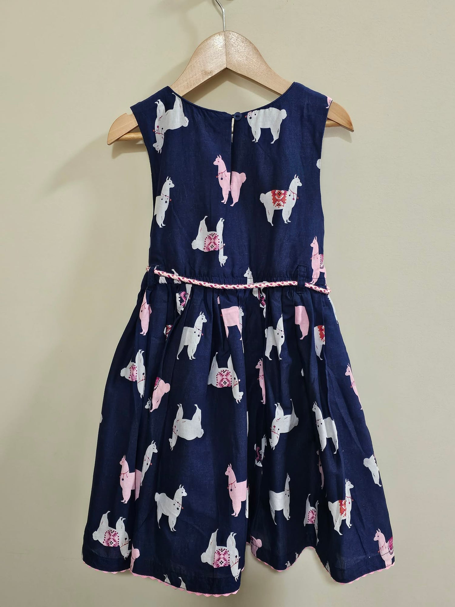 Pumpkin Patch Dress Size 5